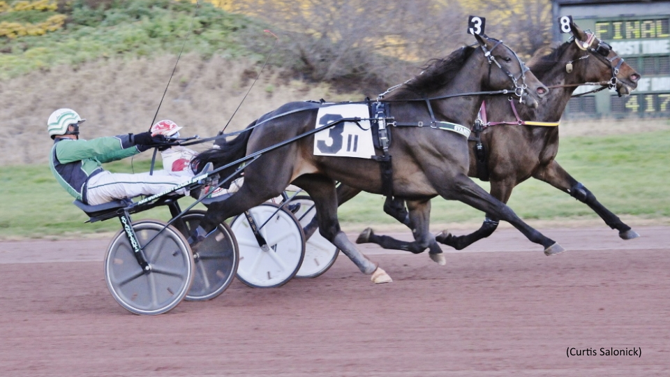 Peck Pupils Take Top Trots At Pocono