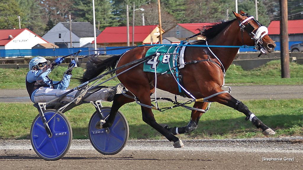 Track Record For Adriano Hanover At Cumberland