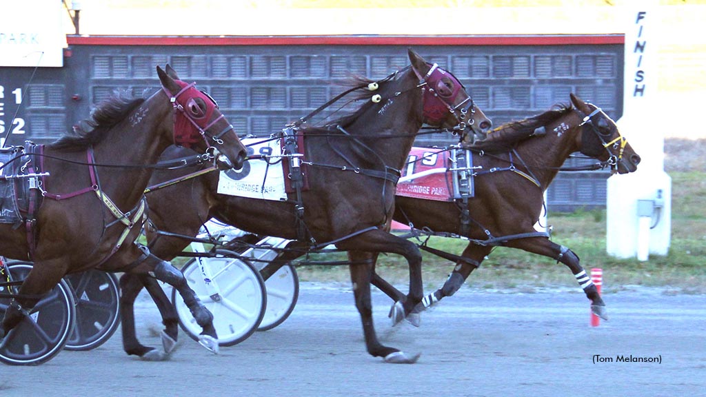 Alittlesidehustl N Wins Plainridge Debut