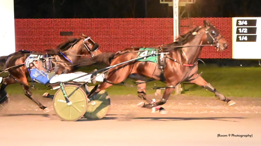 Allywag Hanover Needs No Introduction At Rosecroft Allywag Hanover Needs No Introduction At Rosecroft