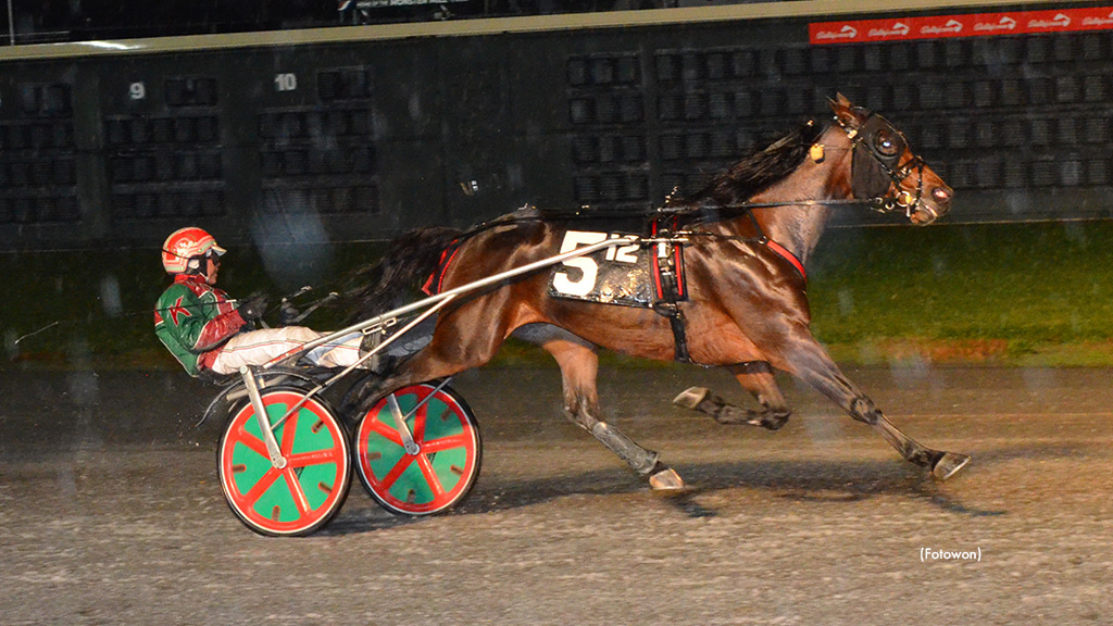 Amigo Volo Takes Open; DSBF Eliminations Contested At Dover
