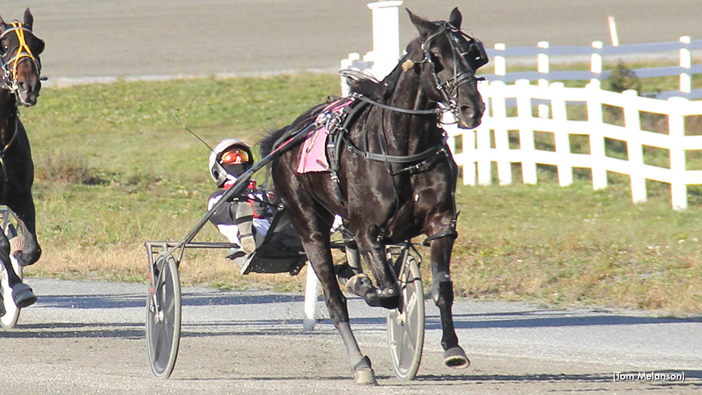 Angel Nation Soars At Plainridge 