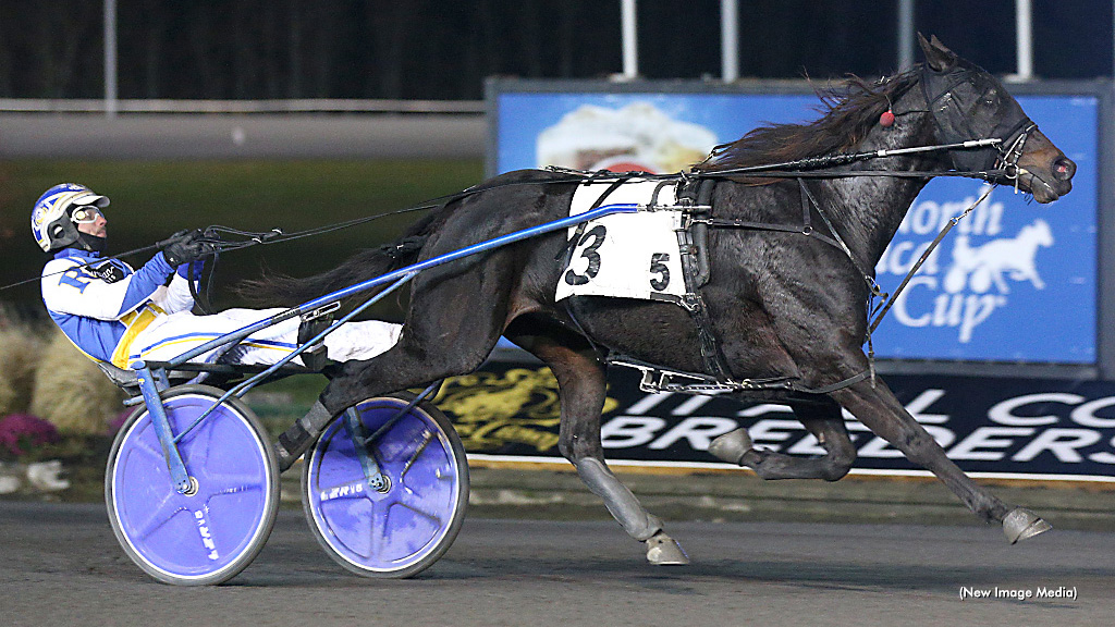 Angels Express Soars In Harvest Series