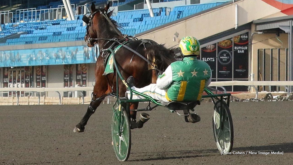 Bulldog Hanover Tunes Up For TVG Test Bulldog Hanover Tunes Up For TVG Test