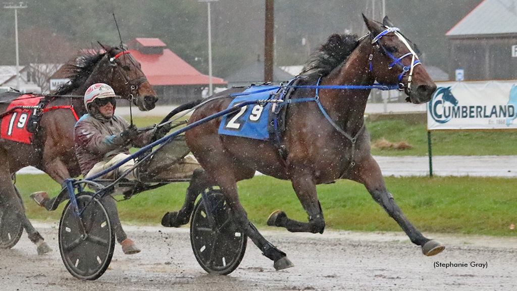 ‘Courageous’ Caulfield Seeks A Cumberland Recurrence