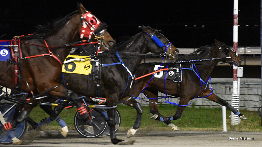 Flash Cube Claims Rideau Preferred