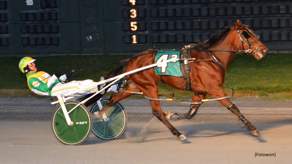 Gaitway Guy, Night Terror Repeat In DSBF Prelims