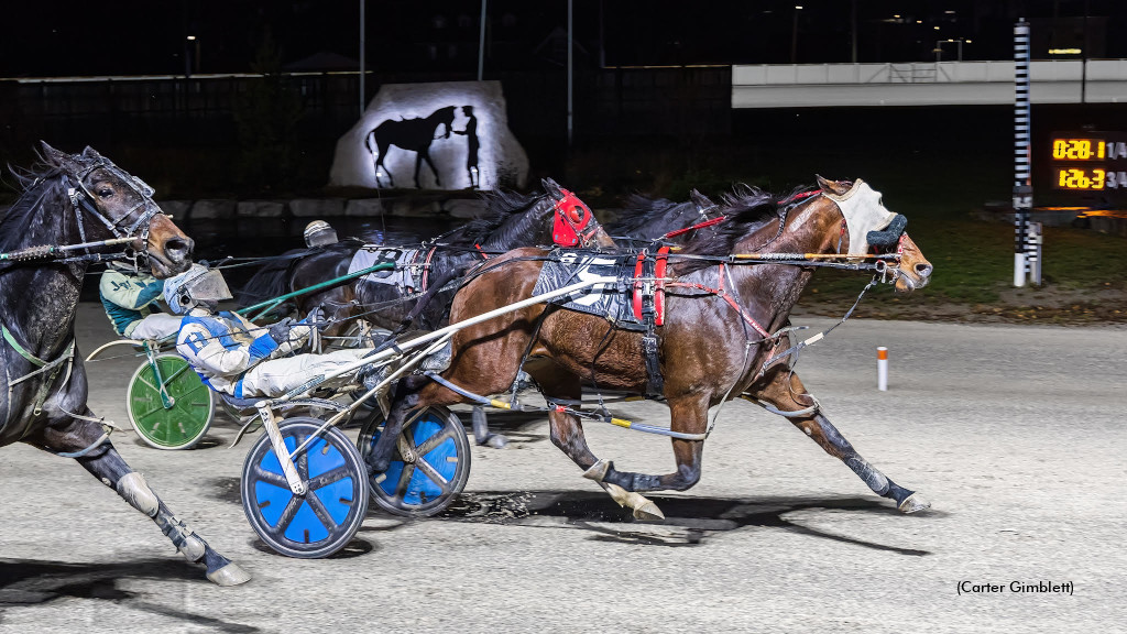 Giddy Up Max Upsets In London Preferred