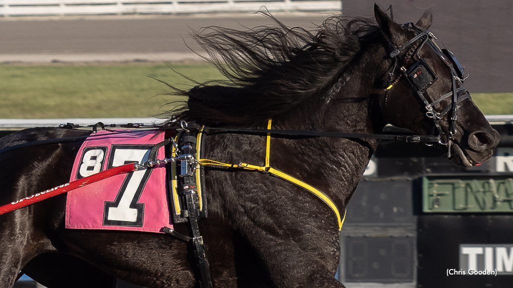 Keystone Chaos Repeats In Top Meadows Trot
