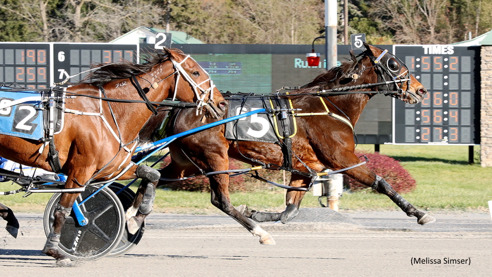 La Bella Vita N Scores In Saratoga Main Event