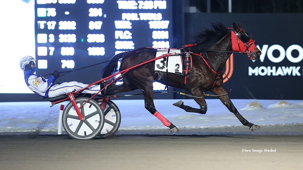 Maisys Muscles Tops Fall Speed Sale