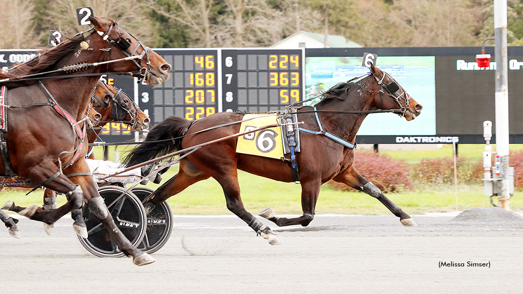 Majestic Fire Wins Open Trot At Saratoga