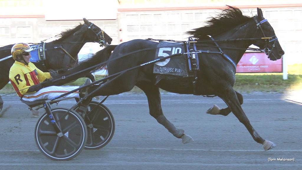 Closers Cash In Plainridge Trots