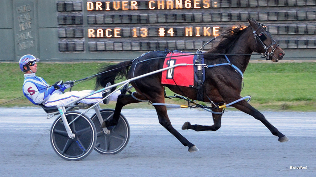 Misty Coast Tops In DSBF Filly Prelims