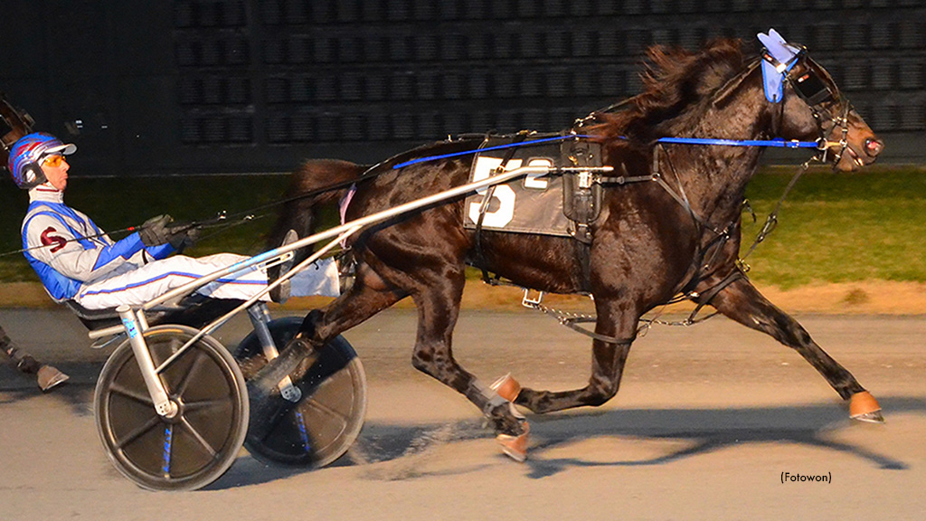 Navy Blue Sharp In Dover DSBF Opener Navy Blue Sharp In Dover DSBF Opener