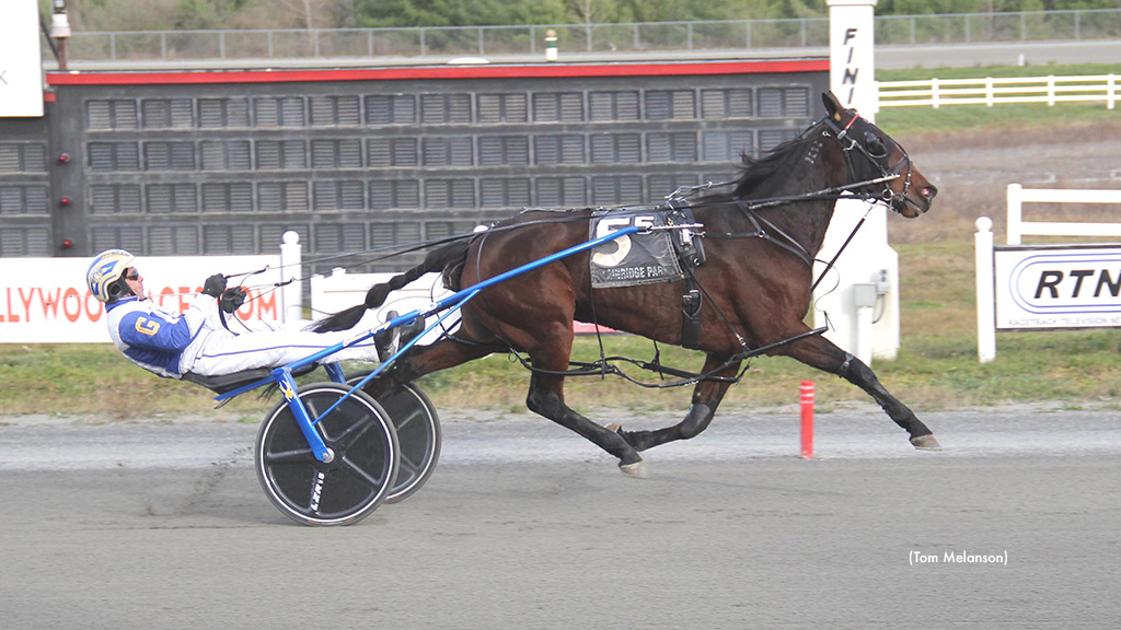 No Win No Feed A Ate Well At Plainridge
