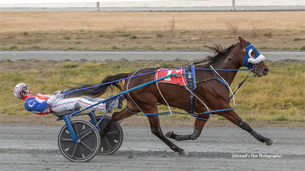 Outlaw C My Shadow One Of Six For Campbell