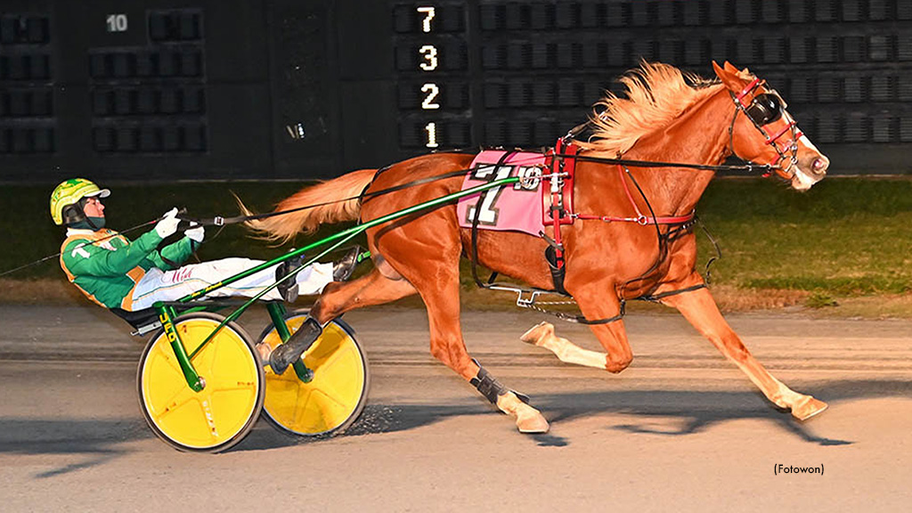 Perfect Twenty Completes Dover DSBF Sweep