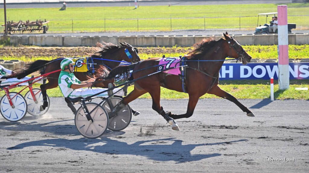 Breeder's Championship Card Set For Virginia