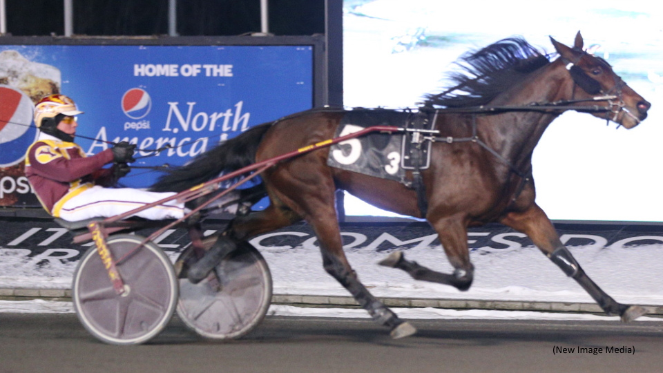 Saint Antoine Sweeps Harvest Series Saint Antoine Sweeps Harvest Series