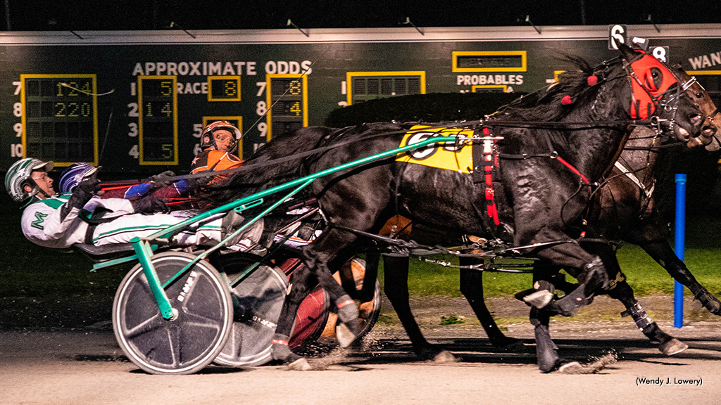 Saulsbrook Olympia Repeats In Batavia Open