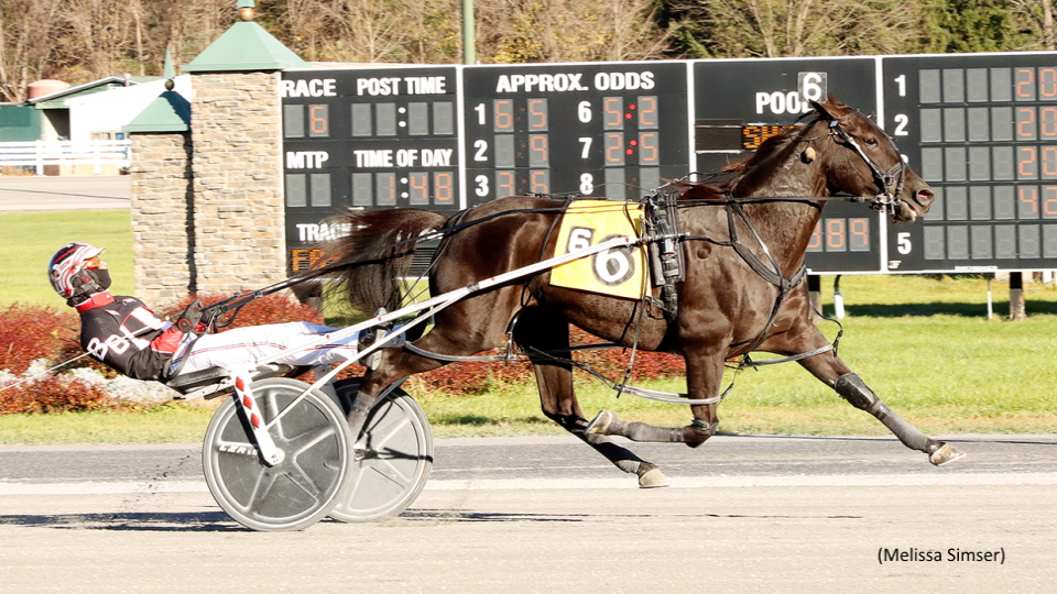 Sea Shadows Strikes Again In Saratoga Open