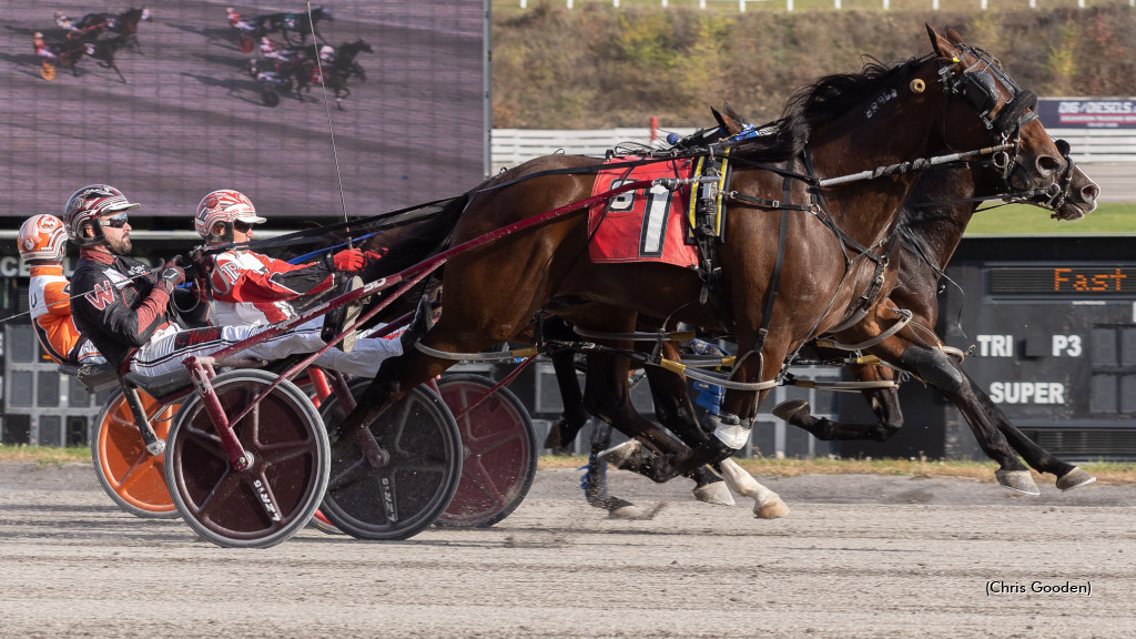 Burke Rolls A Seven At The Meadows