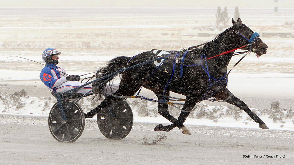 Shark Week, Divine Art Sharp In Century Downs Finale