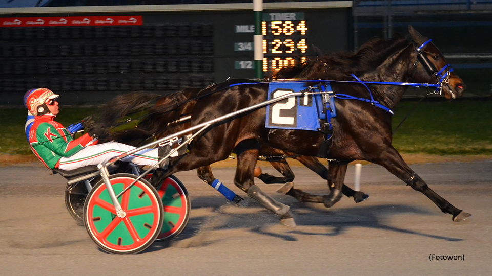 Shes All Woman A Gutsy DSBF Prelim Winner