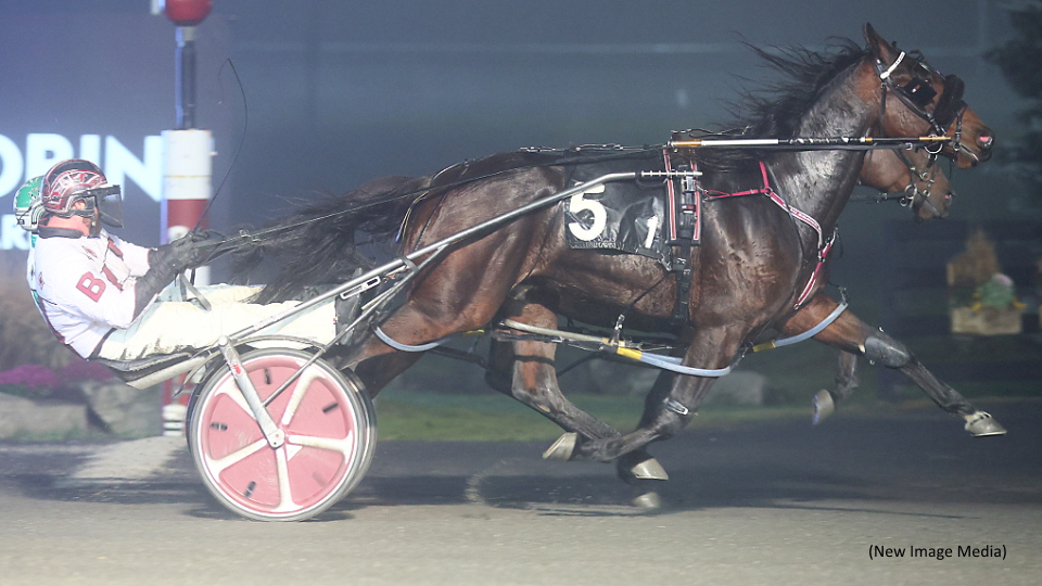 Series Mania On Tap At Mohawk Park