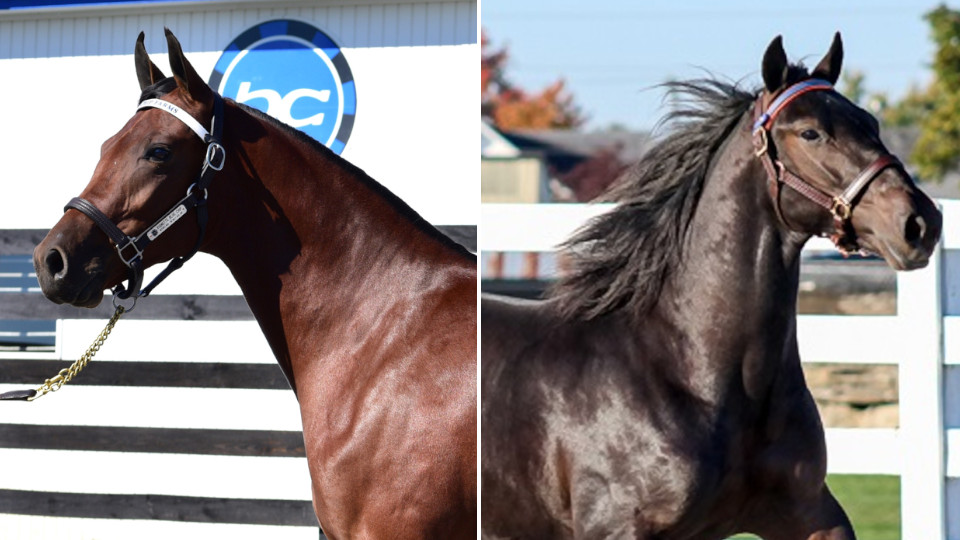 Duo Deliver Six-Figure Sums On Harrisburg Day Three