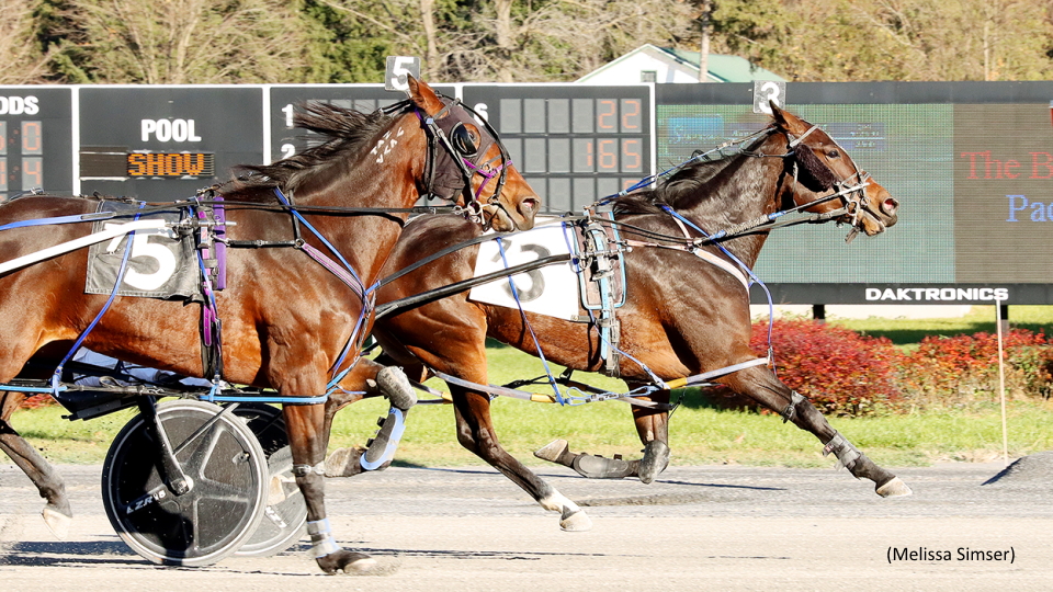 Way To Sweet Upsets In Bunny Lake Pace