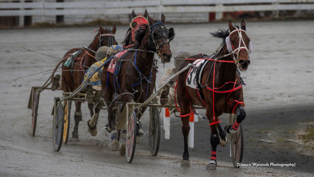 American Risk, Rennison Star In Truro Final Card