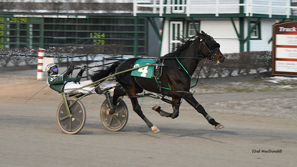 Campbell Unwraps Six On Boxing Day