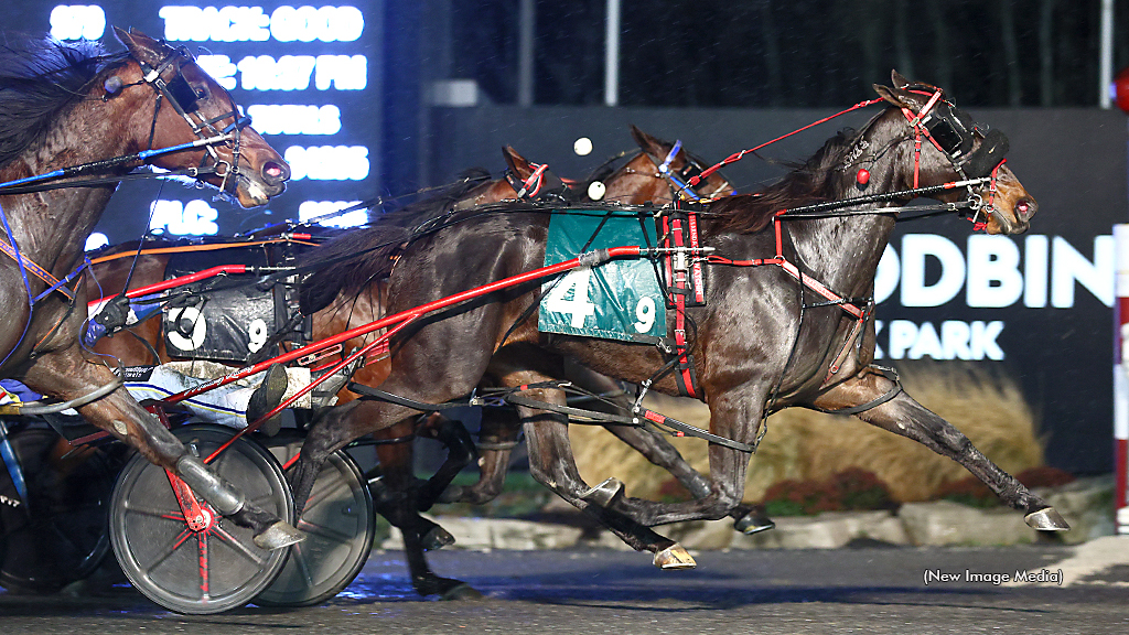 Dabarndawgswatchin Prevails In Preferred