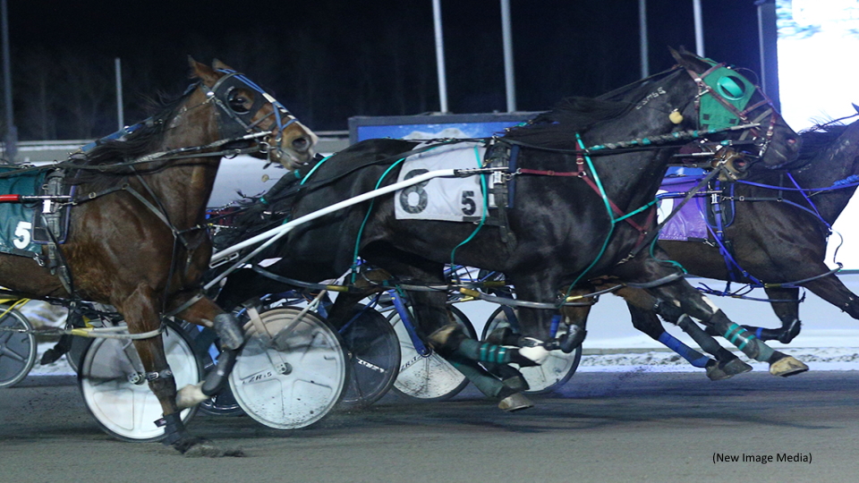 Dark Moves Wins A Pop Up Thriller