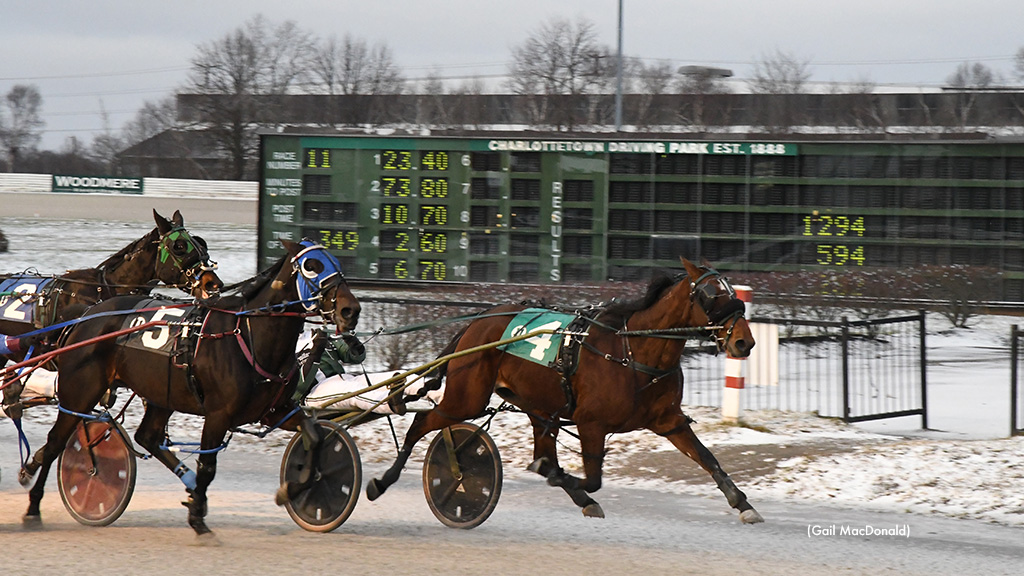 Windmeredontuworry Stuns, 'Zenfire' Scores At Red Shores