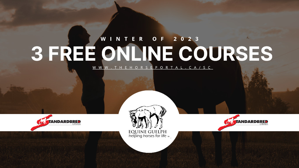 Winter Online Learning Series Kicks Off