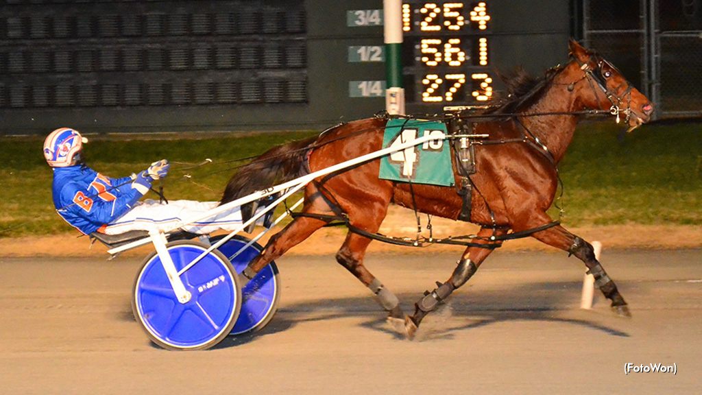 Gaitway Gal Completes DSBF Sweep
