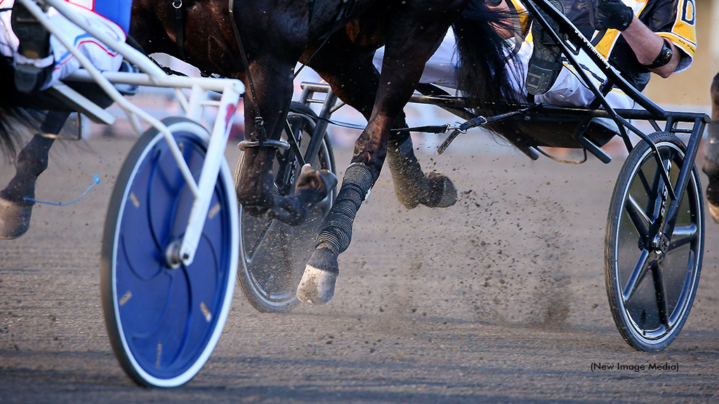 Harness racing