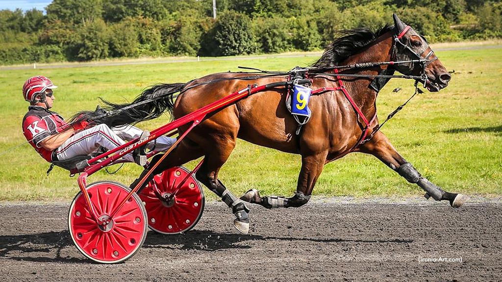 Pair Of Imports Excel In Meadowlands Qualifiers