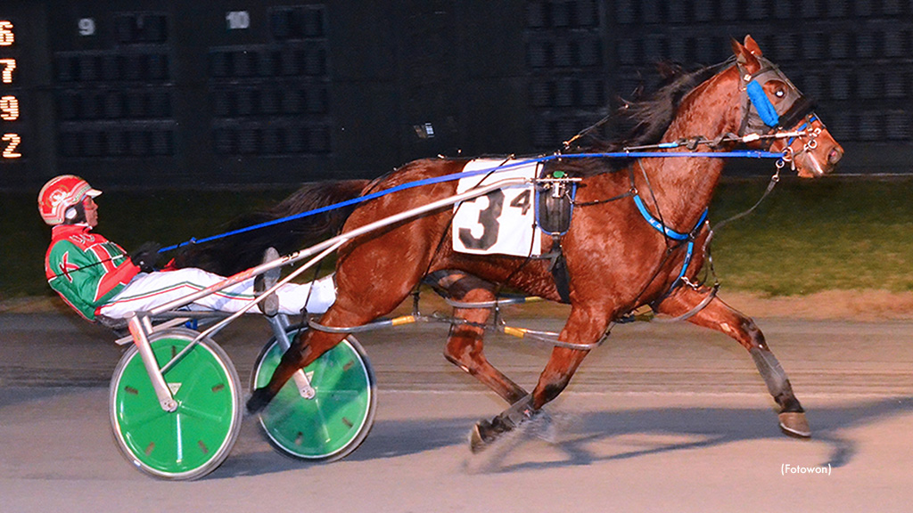 Heinikin Bythebay Poised For Another DSBF Sweep Heinikin Bythebay Poised For Another DSBF Sweep