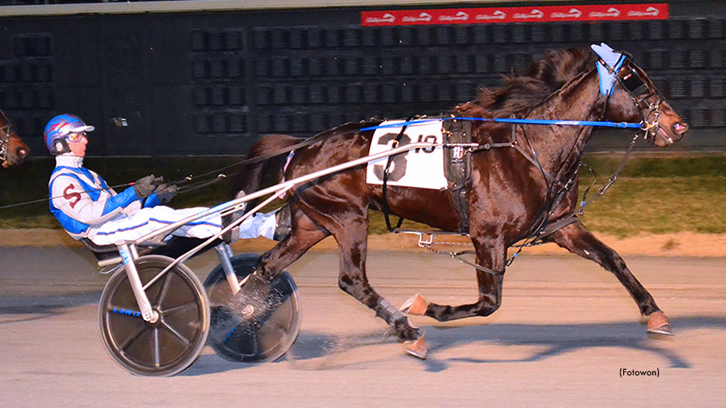 Navy Blue Coasts To DSBF Trot Championship