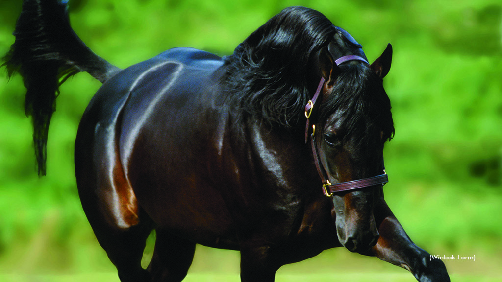 Rustler Hanover Passes