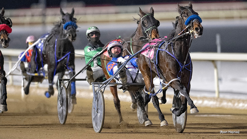 Six Straight For Shark Week