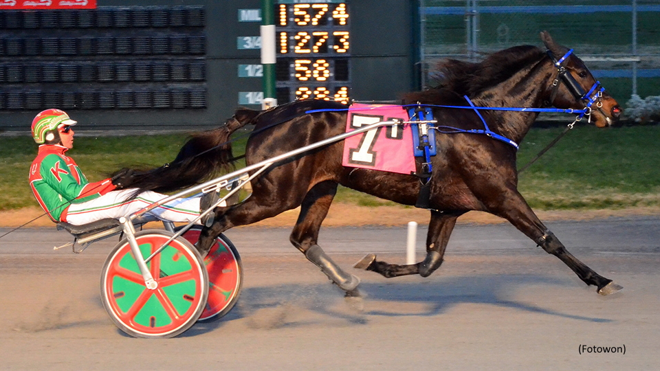 Shes All Woman Strikes Again In Dover DSBF Prelim