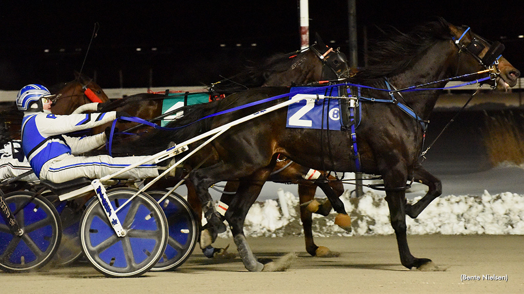 Stella Alpha Steals Show At Rideau