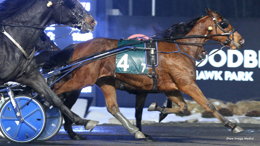 Storm Trotter Weathers Mohawk Rains