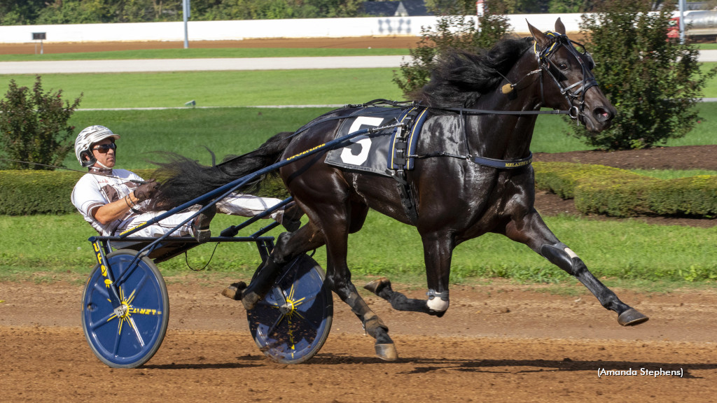 Temporal Hanover Retired To Stud