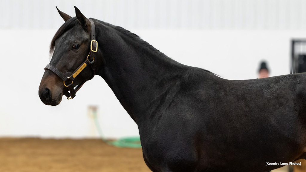 Temporal Hanover Drawing Crowds